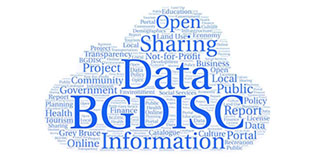 BGDiSC Logo