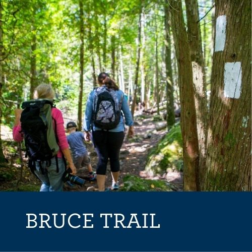 bruce trail.