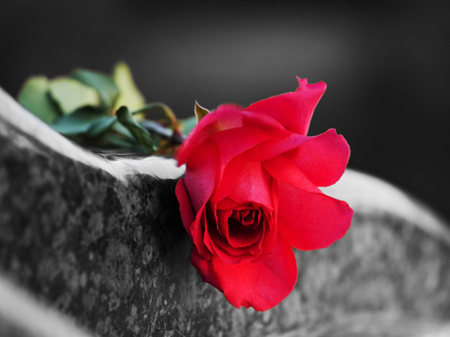 burial support