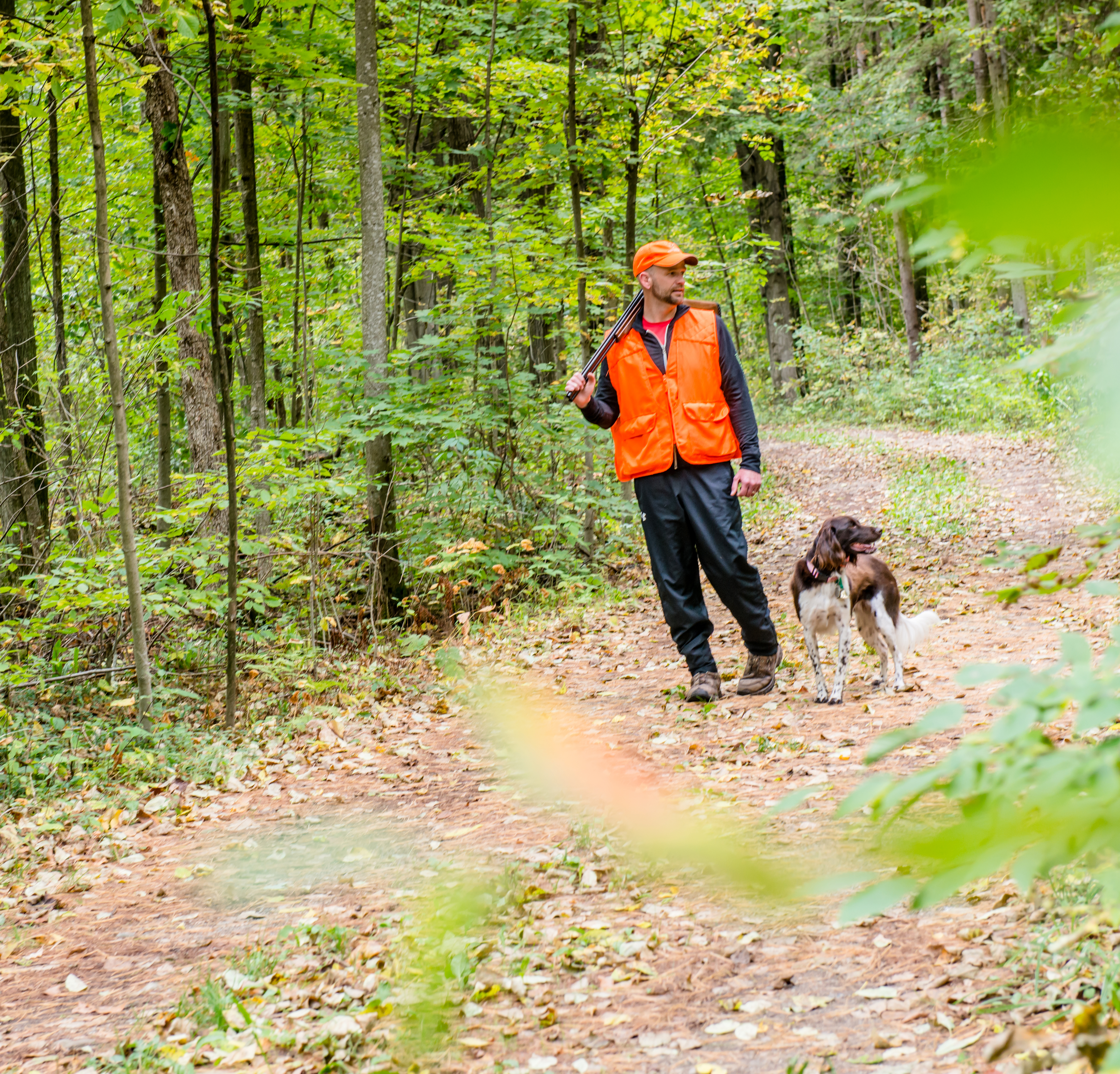 man hunting with beautiful dog