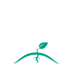 An illustration of a small plant with one leaf.