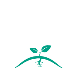 An illustration of a small plant with two leaves.