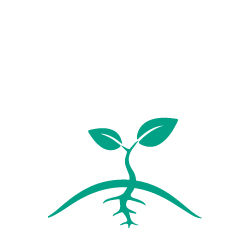 An illustration of a plant getting larger with two leaves.