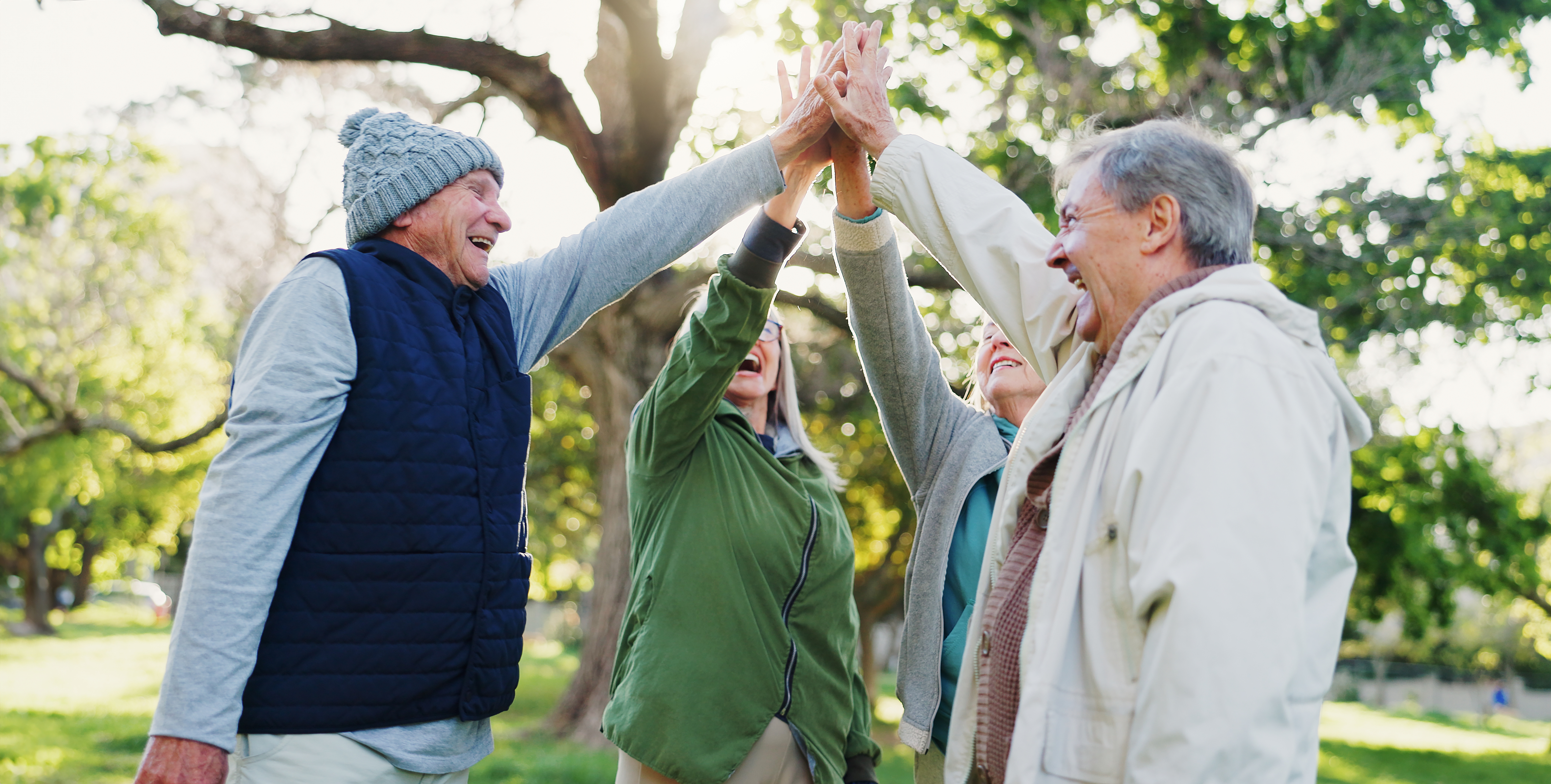 Seniors highfiveing in park 