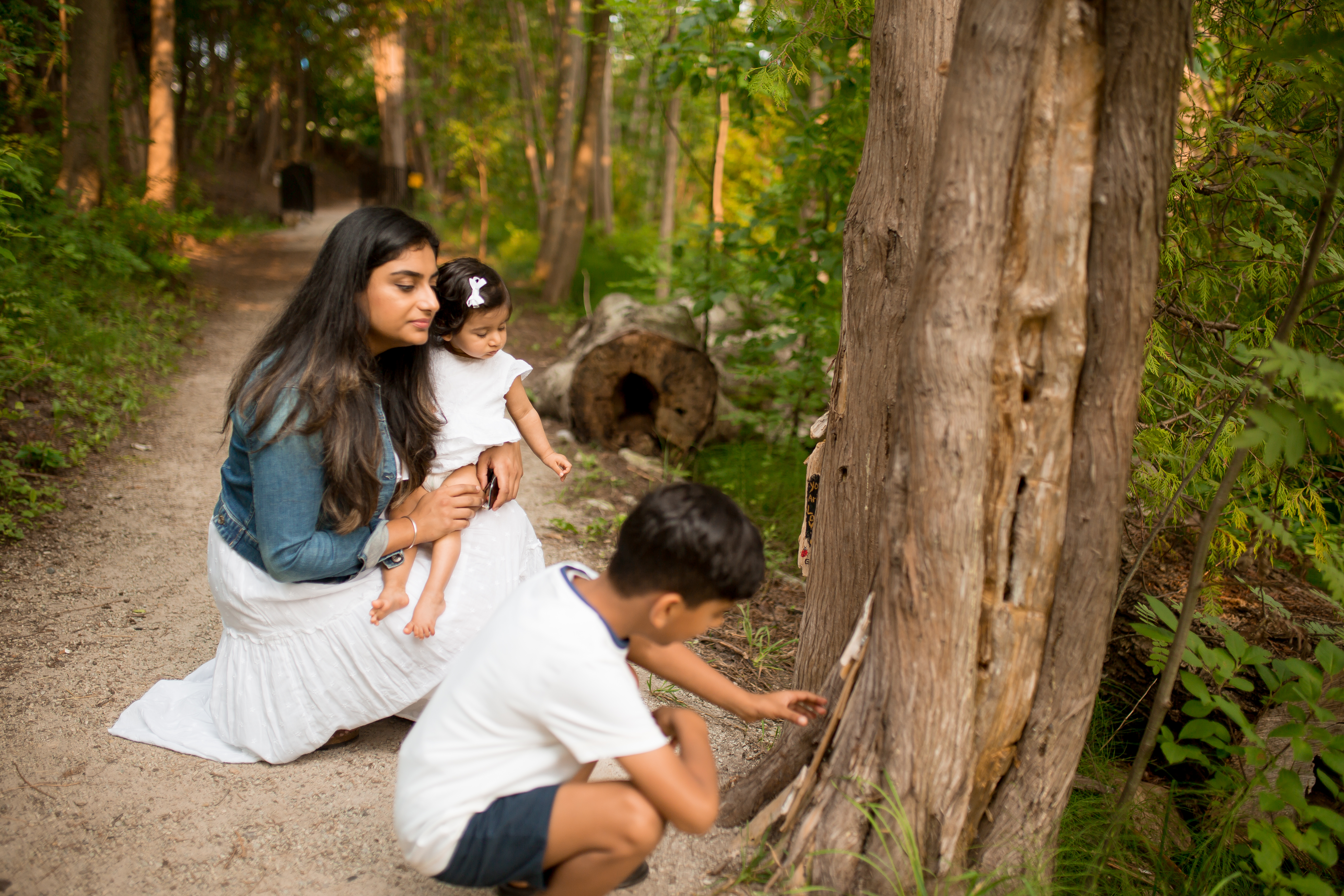 image of family on trail looking at tree