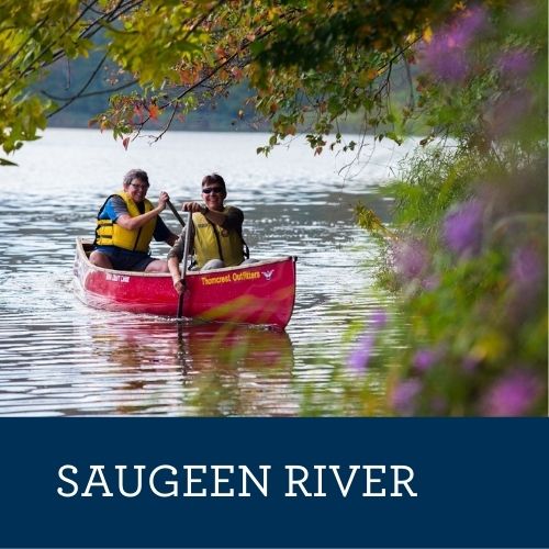 saugeen river access points.