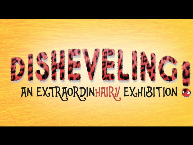 Text overlay on yellow background: Disheveling! An Extraorinhairy Exhibition