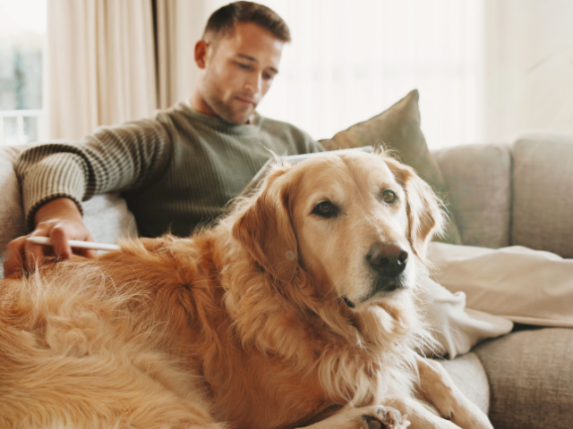 Person sitting on a couch with a golden retriever lying in the foreground, highlighting the importance of including pets in emergency preparedness plans.