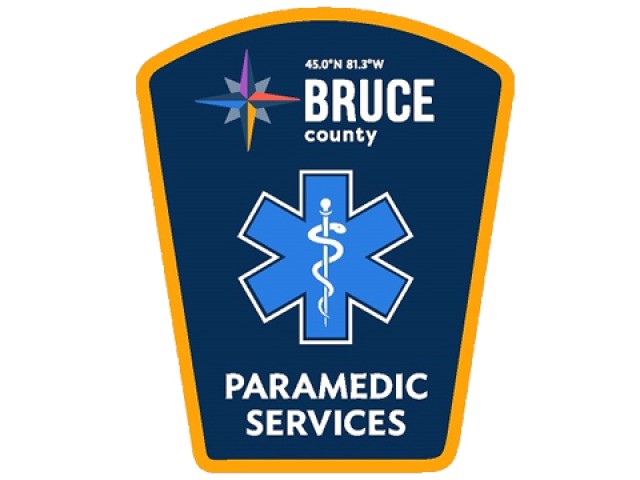 Paramedic Services Logo