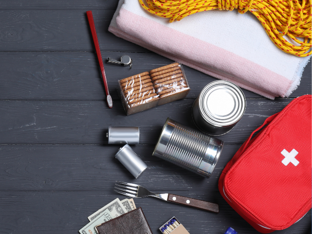 first aid kit, canned food, blanket and other emergency supplies on floor