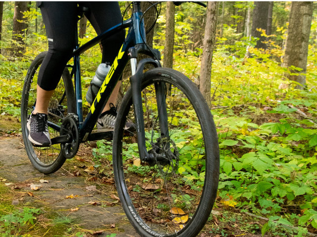 Bike wheels with person riding on trail
